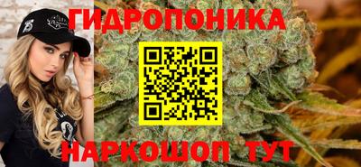 трава Заводоуковск
