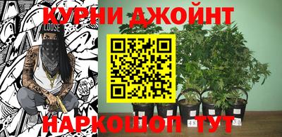 трава Заводоуковск