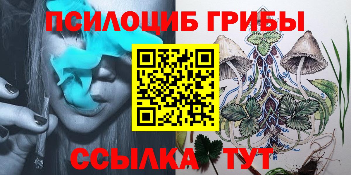 Псилоцибиновые грибы Psilocybe  Вход с VPN  Калач-на-Дону 